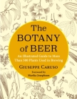 The Botany of Beer: An Illustrated Guide to More Than 500 Plants Used in Brewing (Arts and Traditions of the Table: Perspectives on Culinary H) By Giuseppe Caruso, Kosmos Srl (Translator), Marika Josephson (Foreword by) Cover Image