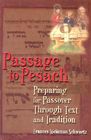 Passage to Pesach: Preparing for Passover Through Text and Tradition By Behrman House Cover Image