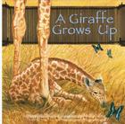 A Giraffe Grows Up Cover Image