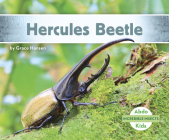Hercules Beetle By Grace Hansen Cover Image