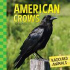 American Crows (Backyard Animals) Cover Image