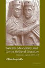Sodomy, Masculinity and Law in Medieval Literature: France and England, 1050 1230 (Cambridge Studies in Medieval Literature #51) Cover Image