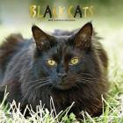Black Cats 2019 Square Foil Cover Image