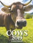 Cows 2019 Calendar Cover Image