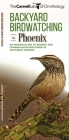 Backyard Birdwatching in Phoenix: An Introduction to Birding and Common Backyard Birds of Southern Arizona By Waterford Press, The, Pedro Fernandes (Illustrator) Cover Image