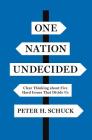 One Nation Undecided: Clear Thinking about Five Hard Issues That Divide Us By Peter H. Schuck Cover Image