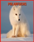 Polarfuchs: Kinderbuch der lustigen Fakten & erstaunliche Fotos By Lucy Billy Cover Image