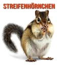 Streifenhörnchen: Erstaunliche Fakten & Bilder By Pam Louise Cover Image