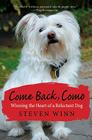 Come Back, Como: Winning the Heart of a Reluctant Dog By Steven Winn Cover Image