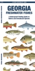 Georgia Freshwater Fishes: A Waterproof Folding Guide to Native and Introduced Species (Pocket Naturalist Guide) Cover Image