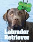 Labrador Retriever (Dog Lover's Guides #18) By Ann Britton Cover Image