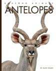 Antelopes (Amazing Animals) By Kate Riggs Cover Image