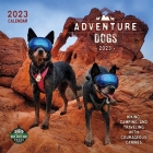 Adventure Dogs 2023 Wall Calendar By Amber Lotus Publishing Cover Image