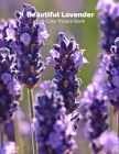 Beautiful Lavender Full-Color Picture Book: Flower Picture Book for Children, Seniors and Alzheimer's Patients -Flowers Nature Gardening By Fabulous Book Press Cover Image