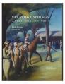 Saratoga Springs: A Centennial History Cover Image