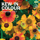 2023 Royal Botanic Gardens Kew, Kew in Colour Wall Calendar By Carousel Calendars (Editor) Cover Image