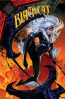 Black Cat Vol. 4: Queen in Black Cover Image