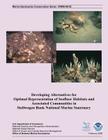 Developing Alternatives for Optimal Representation of Seafloor Habitats and Associated Communities in Stellwagen Bank National Marine Sanctuary Cover Image