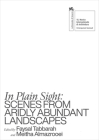 In Plain Sight: Scenes from Aridly Abundant Landscapes By Faysal Tabbarah (Editor), Meitha Almazrooei (Editor), Alia Al-Sabi (Text by (Art/Photo Books)) Cover Image