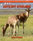 Antilope Africaine: Images étonnantes et faits amusants pour les enfants Cover Image