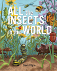 All the Insects in the World By David Opie, David Opie (Illustrator) Cover Image