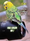Animal Photos and Premium High Resolution Pictures - Full Color HD: 150 Animals Photo Gallery Ideas - Album Art Images - Creative Prints - Premium Pap Cover Image
