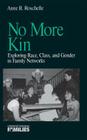 No More Kin: Exploring Race, Class, and Gender in Family Networks (Understanding Families #8) Cover Image