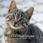 Cats 8.5 X 8.5 Calendar September 2021 -December 2022: Monthly Calendar with U.S./UK/ Canadian/Christian/Jewish/Muslim Holidays-Cute Kittens Pets By Lynne Book Press Cover Image