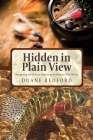 Hidden in Plain View: Recognizing the Obvious-Exploiting the Obscure in Fly Fishing Cover Image
