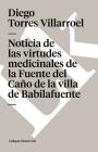Noticia de las virtudes medicinales de la Fuente del Caño de la villa de Babilafuente Cover Image