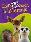 God's Big Book of Animals By Orit Kashtan Cover Image