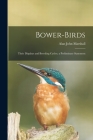 Bower-birds: Their Displays and Breeding Cycles; a Preliminary Statement By Alan John 1911-1967 Marshall Cover Image