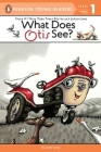 What Does Otis See? Cover Image