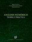 Análisis Numérico: Teoría y Práctica By Luis M. Hernandez-Ramos, Marcos Raydan, Biswa N. Datta Cover Image