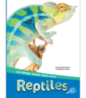Reptiles: Reptiles By Lisa Cocca Cover Image