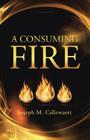 A Consuming Fire By Joseph M. Callewaert Cover Image