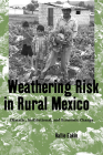 Weathering Risk in Rural Mexico: Climatic, Institutional, and Economic Change By Hallie Eakin Cover Image