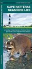 Cape Hatteras Seashore Life: A Folding Pocket Guide to Familiar Plants & Animals in the Cape Hatteras Region (Pocket Naturalist Guide) Cover Image
