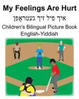 English-Yiddish My Feelings Are Hurt Children's Bilingual Picture Book Cover Image