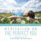 Meditation on the Perfect You By Chris Prentiss Cover Image