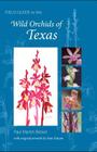 Field Guide to the Wild Orchids of Texas Cover Image