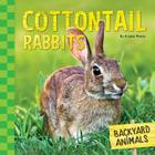 Cottontail Rabbits (Backyard Animals) By Kristin Petrie Cover Image