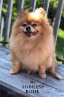My Address Book: Pomeranian - Address Book for Names, Addresses, Phone Numbers, E-mails and Birthdays Cover Image