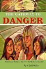 The Gateway to Danger: Chelsea Crosses into e-Commerceland: A Coming of Age Christian Novel for Young Adults By D. Gail Miller Cover Image