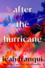 After the Hurricane: A Novel Cover Image