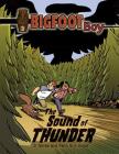The Sound of Thunder (Bigfoot Boy) By J. Torres, Faith Erin Hicks (Illustrator) Cover Image