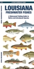 Louisiana Freshwater Fishes: A Waterproof Folding Guide to Native and Introduced Species (Pocket Naturalist Guide) By Waterford Press Cover Image