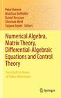 Numerical Algebra, Matrix Theory, Differential-Algebraic Equations and Control Theory: Festschrift in Honor of Volker Mehrmann Cover Image