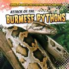 Attack of the Burmese Pythons (Animal Invaders: Destroying Native Habitats) By Matt Jankowski Cover Image