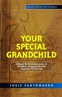 Your Special Grandchild: A Book for Grandparents of Children Diagnosed with Asperger Syndrome By Josie Santomauro, Carla Marino (Illustrator) Cover Image